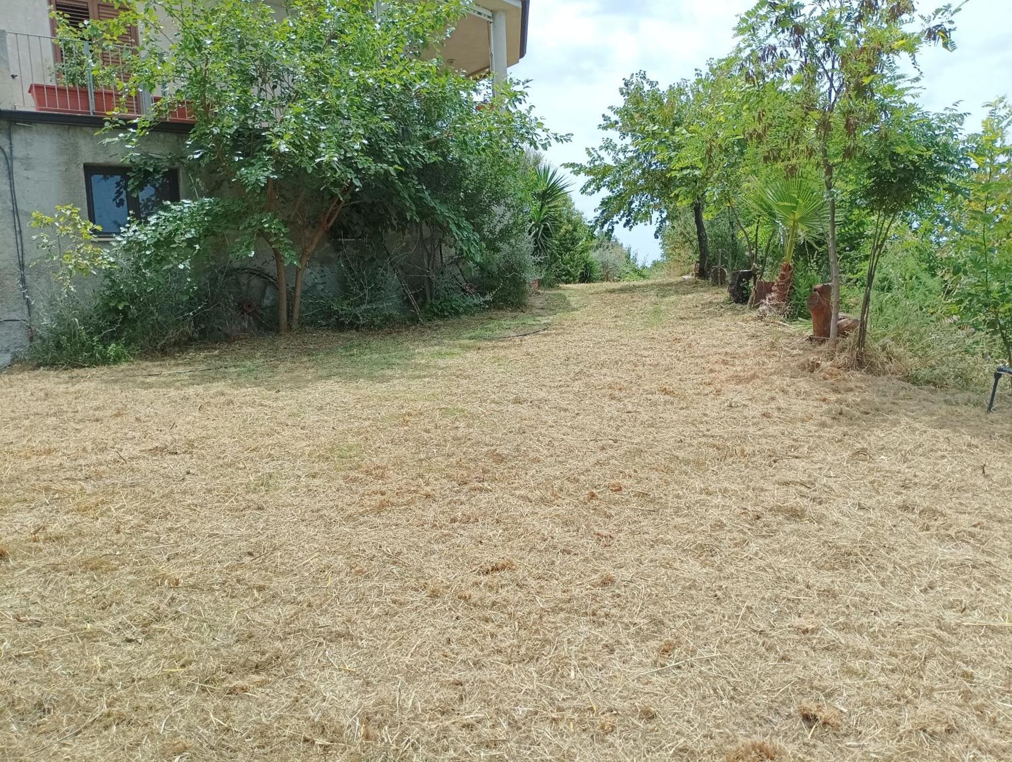 Palapico Hotel Bonifati Bagian luar foto