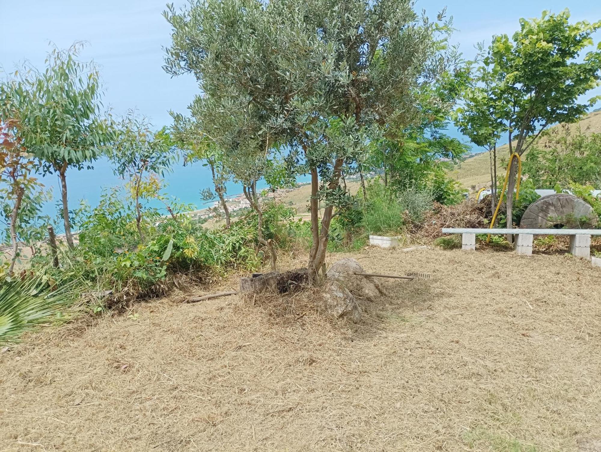 Palapico Hotel Bonifati Bagian luar foto