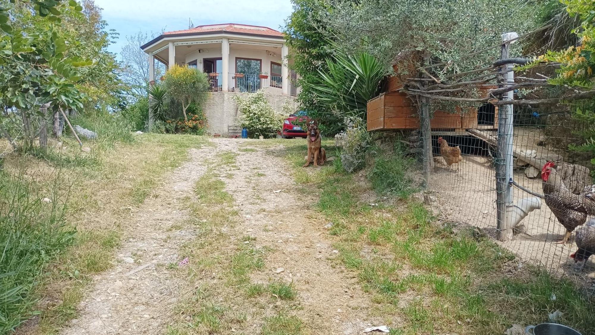 Palapico Hotel Bonifati Bagian luar foto