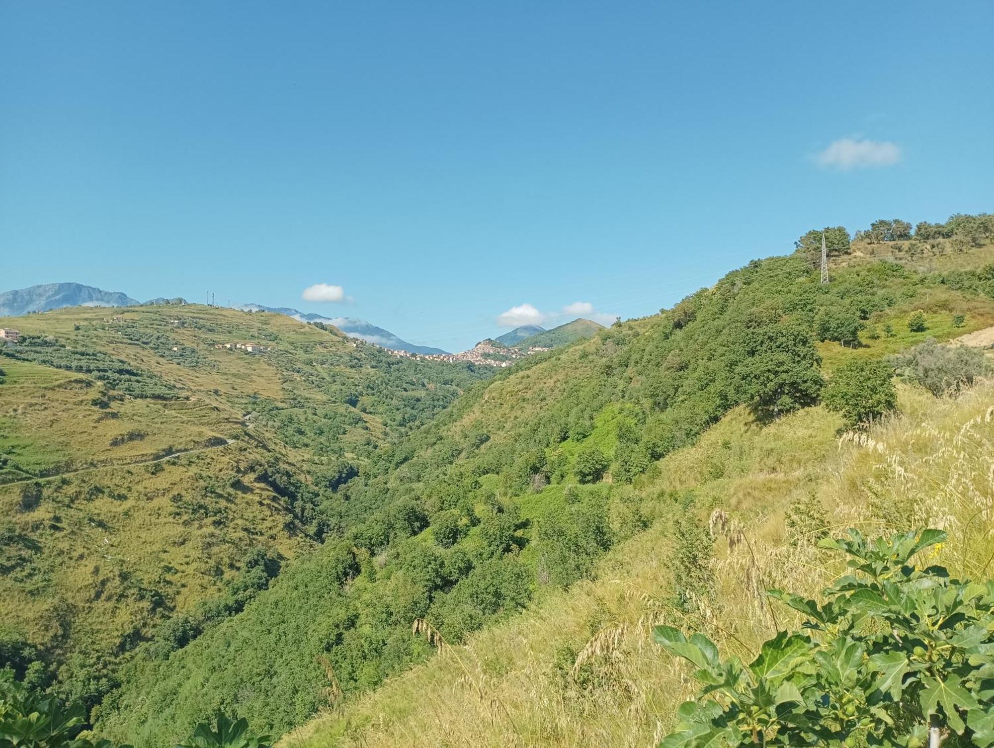 Palapico Hotel Bonifati Bagian luar foto