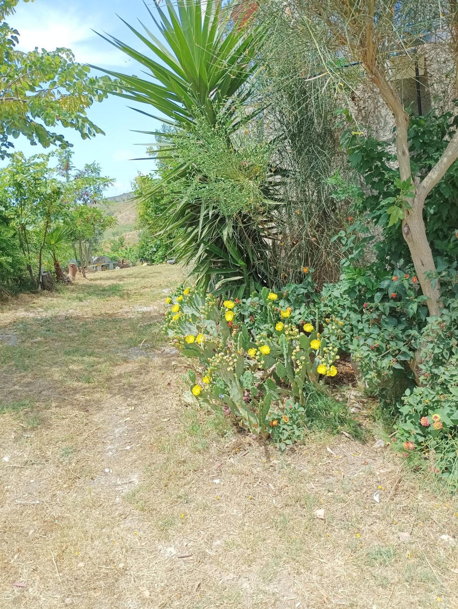 Palapico Hotel Bonifati Bagian luar foto